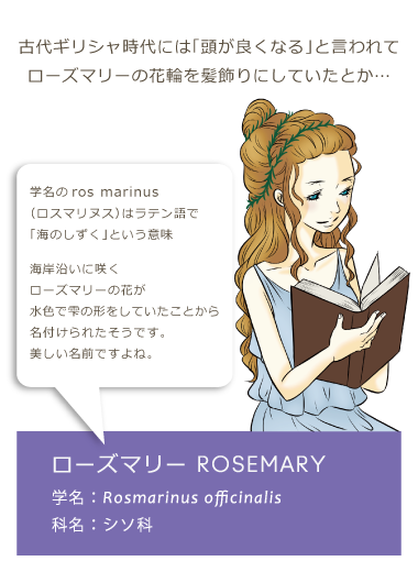 ���ꂢ�̂͂Ȃ�